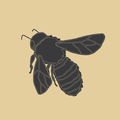 Picture of BEES BLACK AND GOLD 1