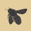 Picture of BEES BLACK AND GOLD 1
