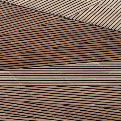 Picture of GEOMETRIC WOOD 2
