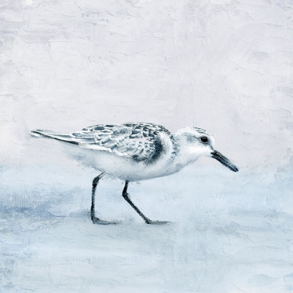 Picture of SANDPIPER 1