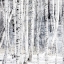 Picture of ASPEN SNOW 1