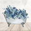 Picture of BLUE BATH 1