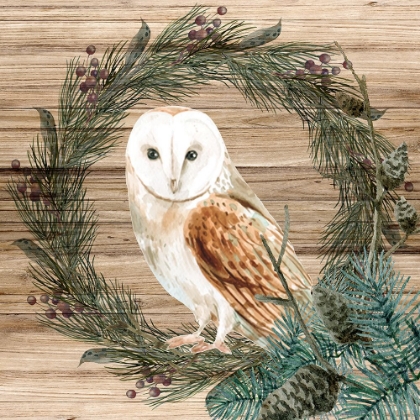 Picture of OWL WREATH