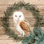 Picture of OWL WREATH