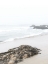 Picture of OCEAN VIEW