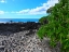 Picture of SHORELINE  PATH