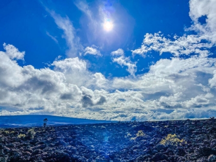 Picture of COOL REFLECTIONS AT MAUNA LOA