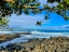 Picture of HAMAKUA FROM AFAR