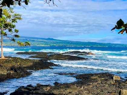 Picture of HAMAKUA GAZE