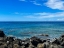Picture of PUAKO CALM