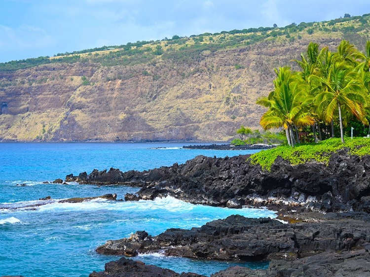 Picture of KONA ROCKY COAST