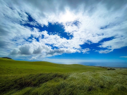 Picture of HILLS OF KOHALA