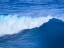Picture of TIDAL EASE