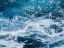 Picture of AQUATIC FOAMY GOODNESS