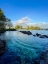 Picture of PACIFIC OHM
