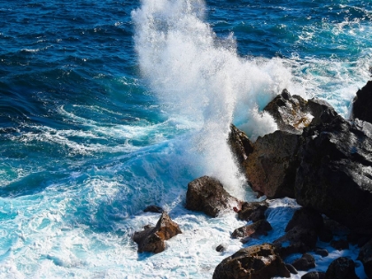 Picture of PUNA-SHORELINE