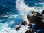 Picture of PUNA-SHORELINE