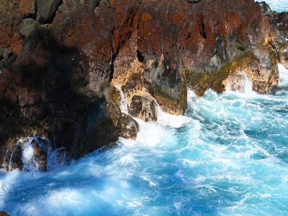 Picture of PUNA CLIFF BOTTOM