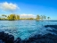 Picture of TIDAL CALM