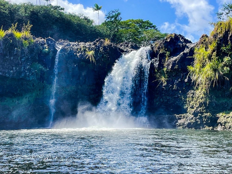 Picture of WAILUKU CLEANSE