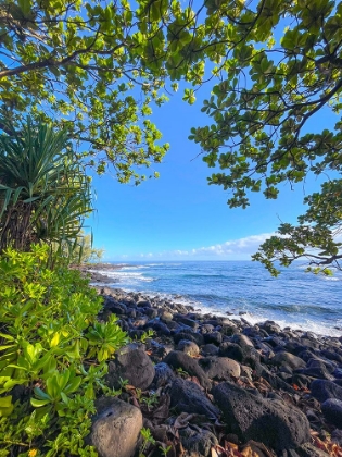 Picture of HILO COVE