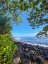 Picture of HILO COVE