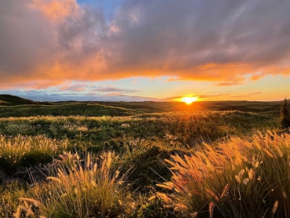 Picture of SUNSET ON SADDLE ROAD