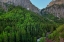Picture of A MOUNTAIN OF GREEN