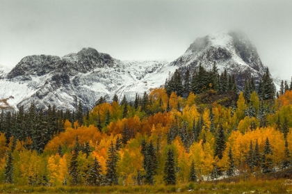 Picture of A ROCKY MOUNTAIN AUTUMN