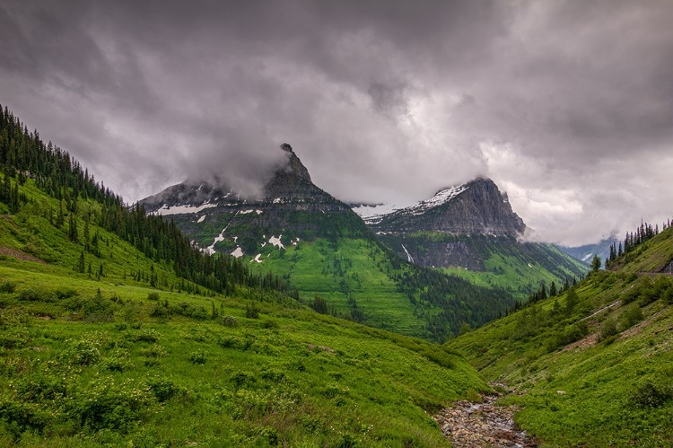 Picture of A STORM BREWING