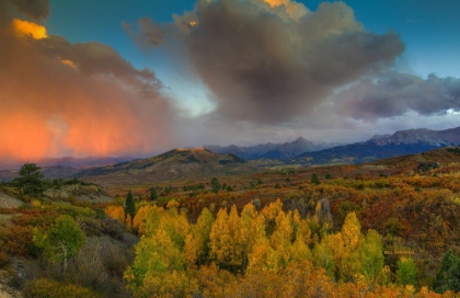 Picture of A STORM OF LIGHT