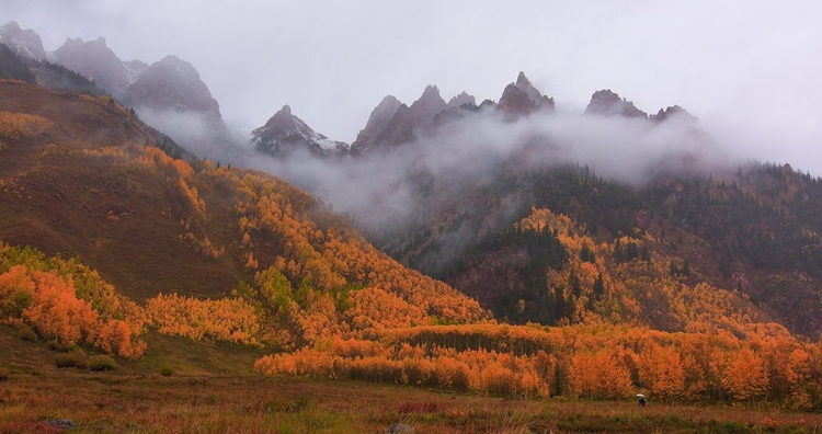 Picture of A WALK IN THE AUTUMN MIST