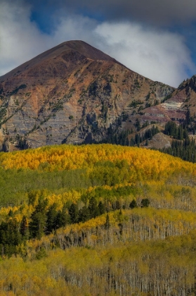 Picture of AUTUMN MOUNTAIN NEAR CRESTED BUTTE