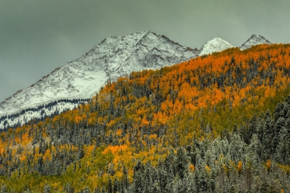 Picture of AUTUMN MOUNTAIN