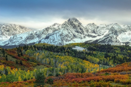 Picture of AUTUMN PRELUDE AT MOUNT SNEFFELS