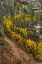 Picture of AUTUMN SPIRAL