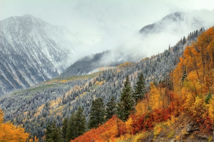 Picture of AUTUMN STORM