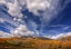 Picture of AUTUMN VISTA