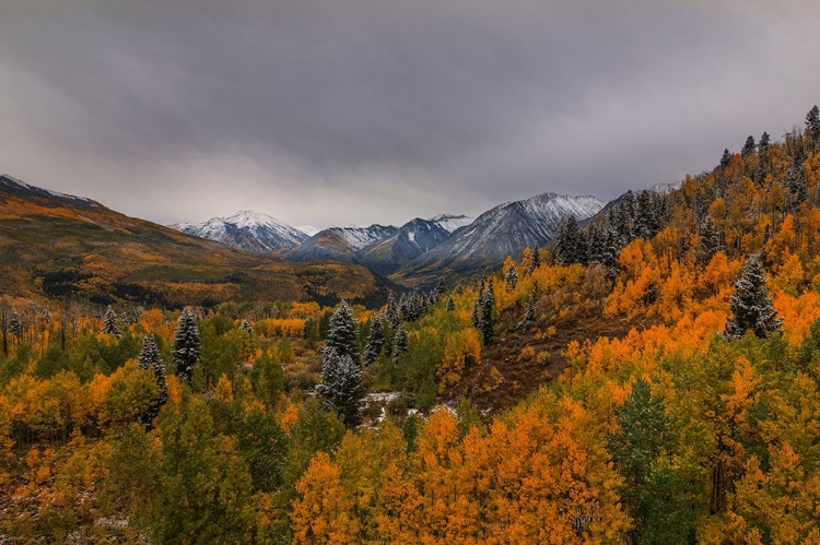 Picture of AUTUMN WONDERLAND