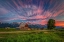 Picture of BENEATH TETON GLORY