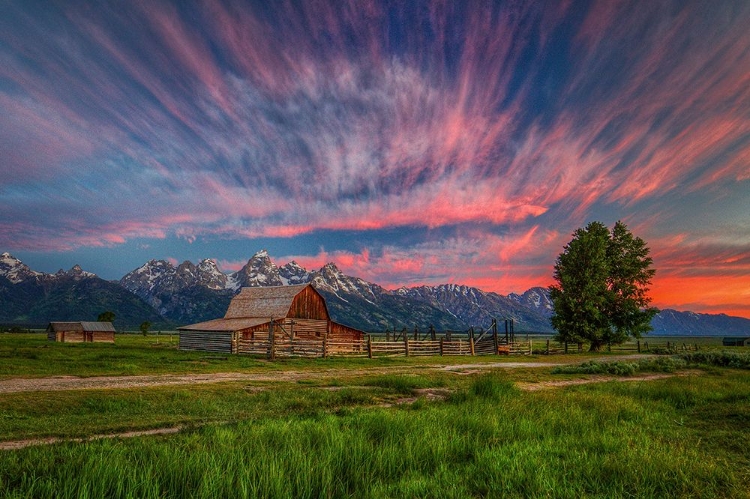 Picture of BENEATH TETON GLORY