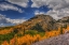 Picture of COLOR IN THE CLOUDS
