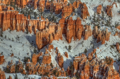 Picture of COLOR IN THE SNOW