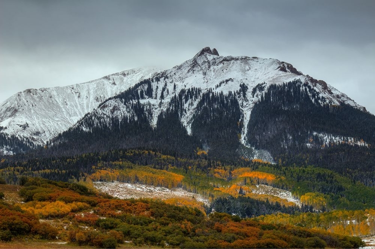 Picture of COLORADO SEASONS