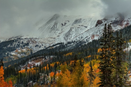 Picture of DARK STORM OVER RED MOUNTAIN PASS