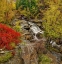 Picture of FALL RIVER
