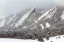 Picture of FROZEN RAPTURE