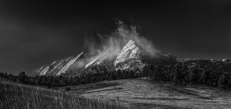 Picture of FROZEN WHIMSEY-BLACK AND WHITE