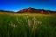 Picture of GLOWING FLATIRONS AND WILDFLOWERS
