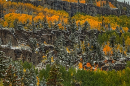 Picture of LEDGES OF GOLD